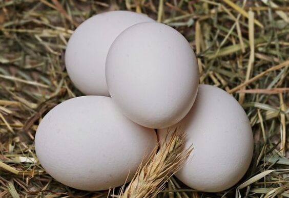 Diet telur melibatkan makan telur ayam setiap hari. 