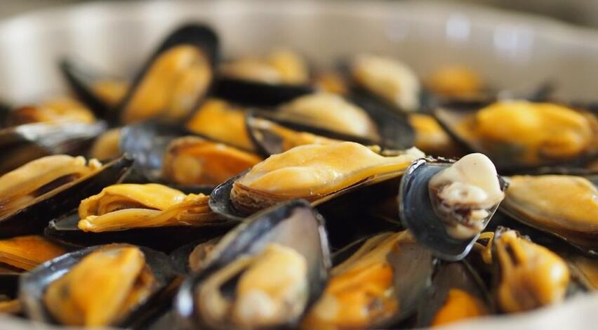 kerang dalam diet protein